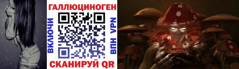 Купить где  Межгорье  Псилоцибиновые грибы Magic Shrooms 