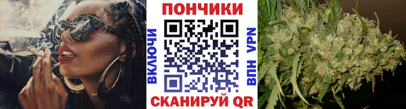 Купить где  Межгорье  Каннабис SATIVA & INDICA 